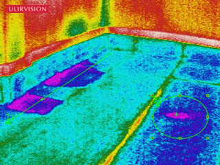 Thermal Imaging Camera Detection